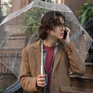 Foto Timothée Chalamet