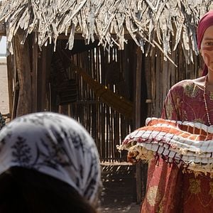 Foto Pájaros de Verano