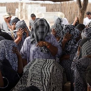 Foto Pájaros de Verano