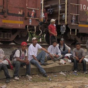 Foto Llévate mis amores