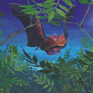 Foto Bonjour le Monde!