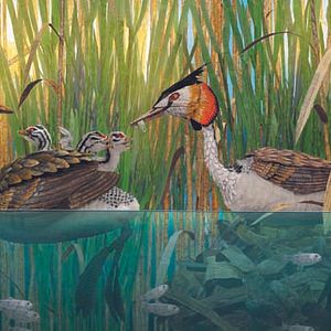 Foto Bonjour le Monde!