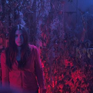 Foto La casa del terror