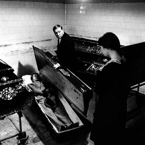 Foto Spalovac Mrtvol