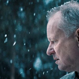 Foto Ut og stjæle hester