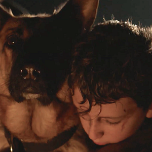 Foto Shepherd: The Story of a Jewish Dog