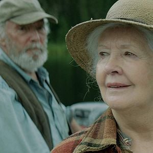 Foto Y llovieron pájaros