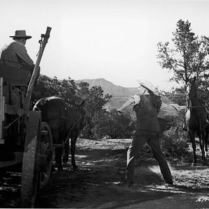 Foto Orgullo de comanche