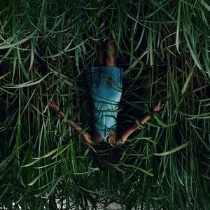 Foto En la hierba alta