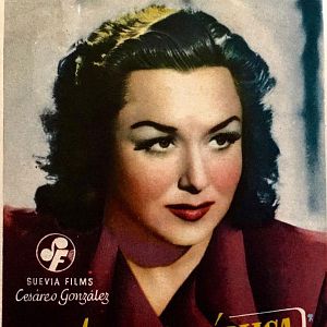 Foto Audiencia pública