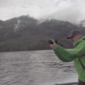 Foto La vida secreta de los árboles