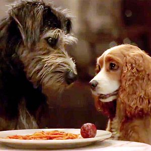 Foto La dama y el vagabundo