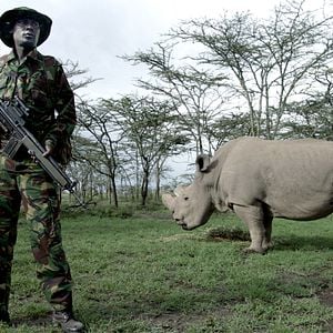 Foto Anthropocene: The Human Epoch