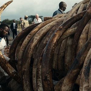 Foto Anthropocene: The Human Epoch