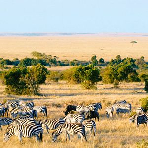 Foto Şahan Gökbakar