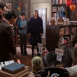 Foto El escritor fantasma