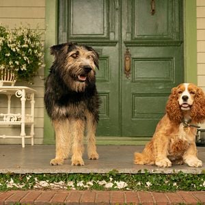 Foto La dama y el vagabundo