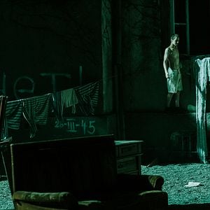 Foto Perros de presa