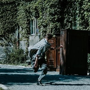 Foto Perros de presa