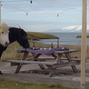 Foto Un blanco, blanco día