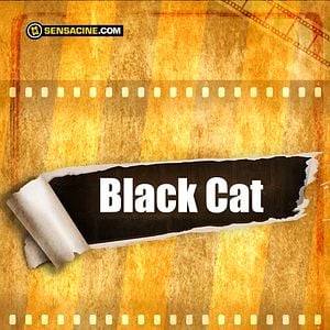 Foto Black Cat