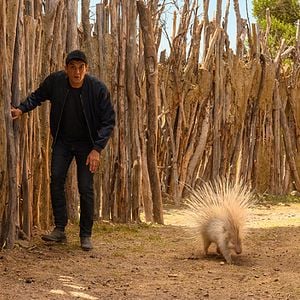 Foto Vacaciones en África