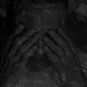 Foto Didier Sauvegrain