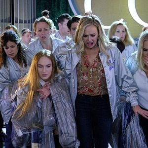 Foto Perfect Harmony