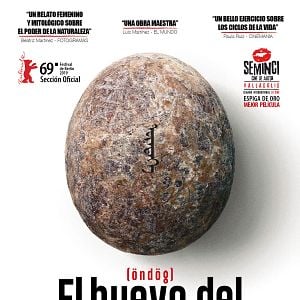 Foto El huevo del dinosaurio