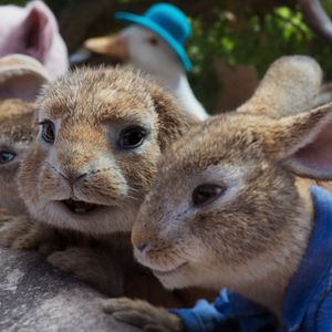 Foto Peter Rabbit 2: A la fuga