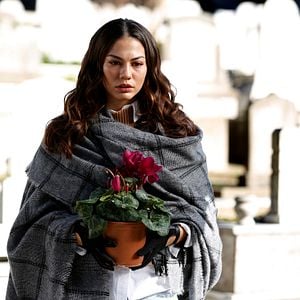 Foto Mi hogar, mi destino