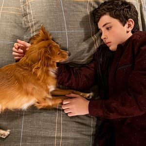 Foto ¡Guau, qué amigo!