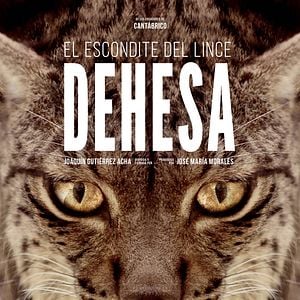 Foto Dehesa, el escondite del lince