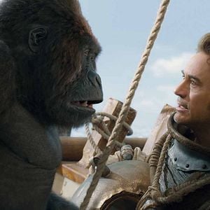 Foto Robert Downey Jr.