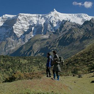 Foto Lunana: Un yak en la escuela