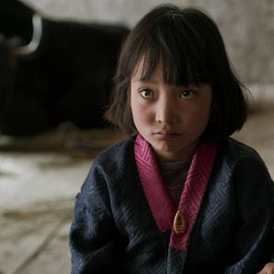 Foto Lunana: Un yak en la escuela