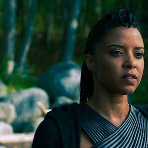 Foto Renée Elise Goldsberry