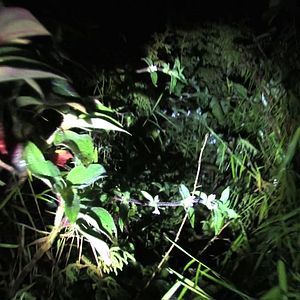 Foto Anunciaron tormenta