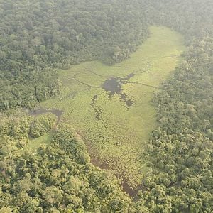 Foto Nuestro planeta