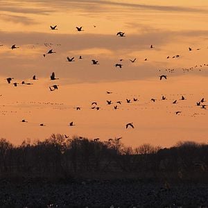 Foto Nuestro planeta
