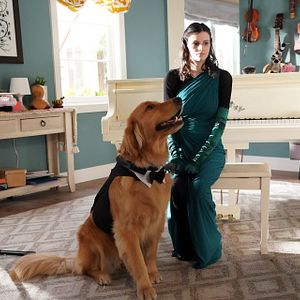 Foto Todo va a ir bien