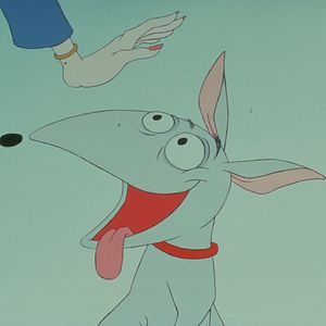 Foto Cuentos asombrosos