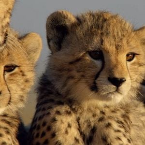 Foto Crecer en la naturaleza