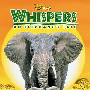 Foto Aventura elefantástica