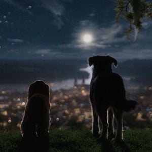 Foto La dama y el vagabundo