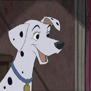 Foto 101 Dálmatas 2