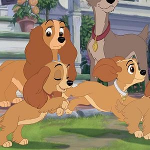 Foto La dama y el vagabundo 2: Las aventuras de Scamp