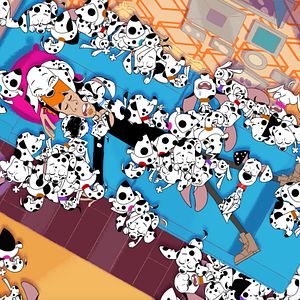 Foto Calle Dálmatas 101