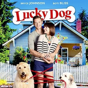 Foto Un perro con suerte