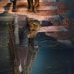 Foto In the Dark (2019)